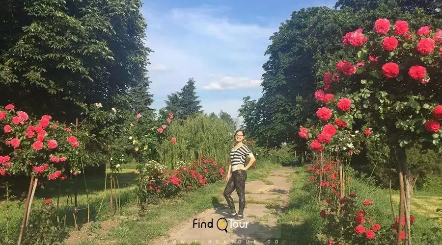 باغ گیاهشناسی ملی کی یف باغ گیاهشناسی ملی کی یف