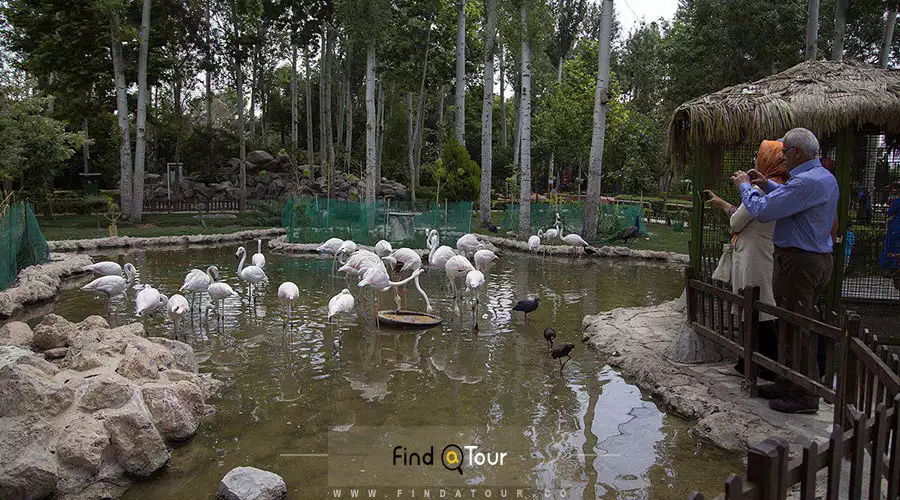 بخش بهداشت باغ پرندگان اصفهان