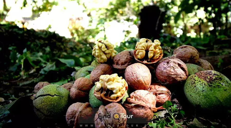 روستای ویرایی در فاصله 15 کیلومتری همدان روستای ویرایی در فاصله 15 کیلومتری همدان