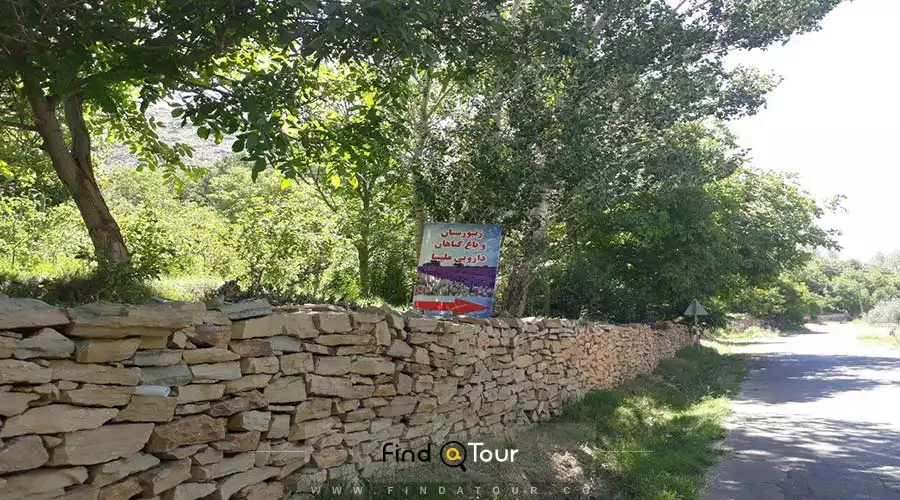 روستای حیدریه قاضی خانی روستای حیدریه قاضی خانی