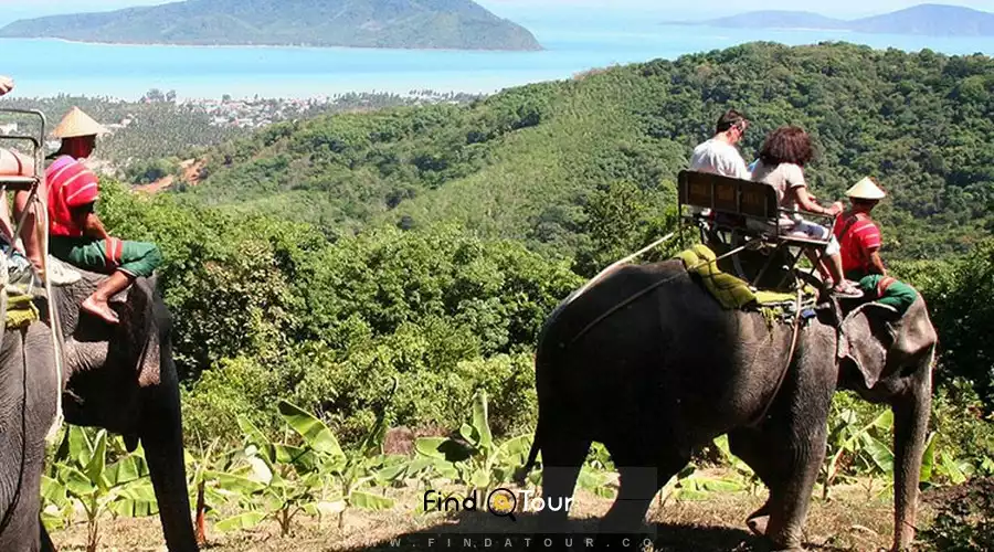 تور سافاری پوکت تور سافاری پوکت