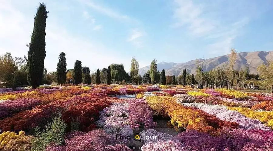 باغ گل قسمت پیاده روی باغ گیاهشناسی ملی ایران