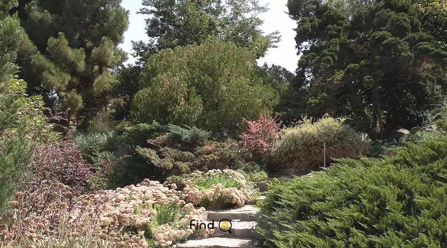 صخره تفریحی قسمت پیاده روی باغ گیاهشناسی ملی ایران