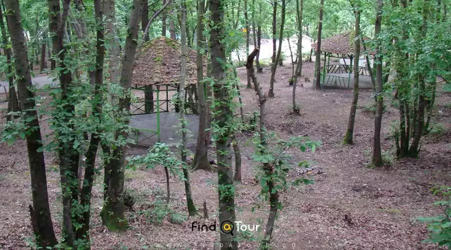  بازدید از پارک جنگلی سراوان