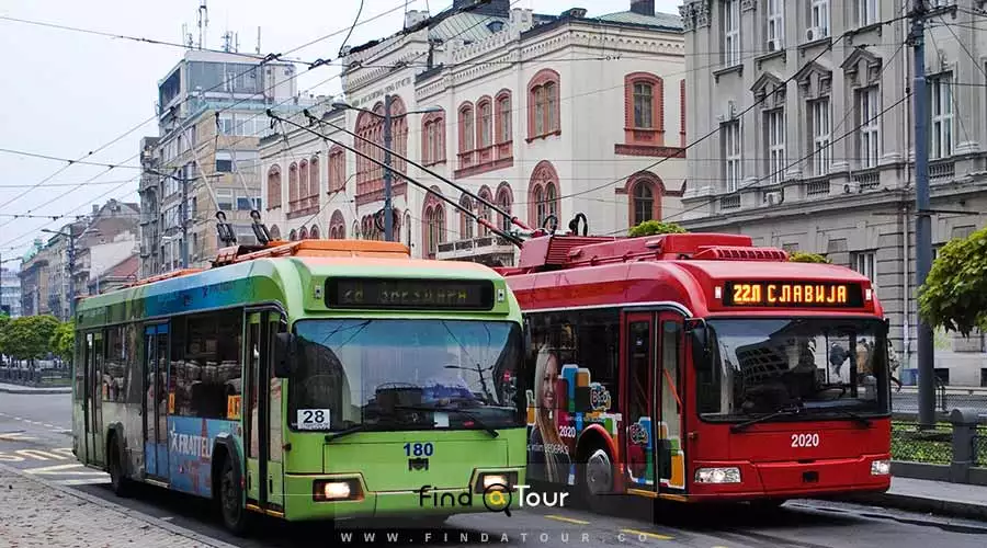 اتوبوس های درون شهری صربستان بلگراد