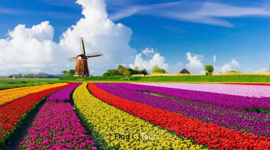 هلند کشور گل های لاله و آسیاب بادی