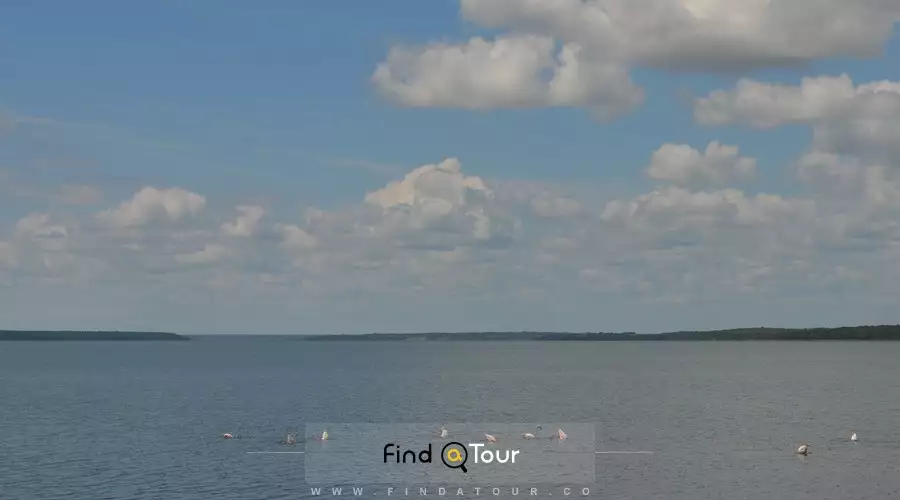  لوکیشن فیلم معلم من اختاپوس تصویر از نمای بیرونی دریا و آسمان در فالس بی