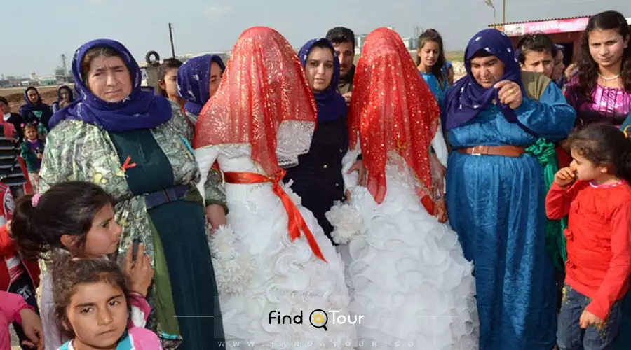 عروسی ترامپا بردل در ترکیه