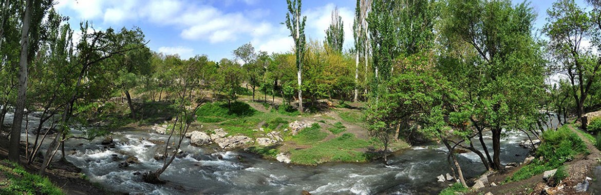 پارک جنگلی وکیل آباد