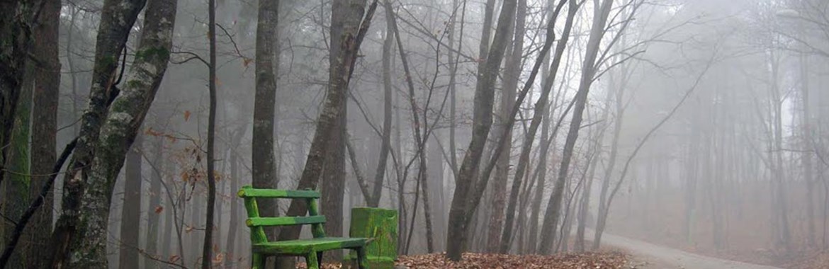 پارک جنگلی سراوان 