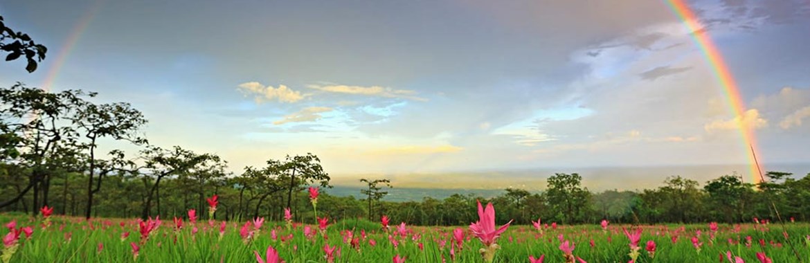 10 پارک ملی برتر تایلند