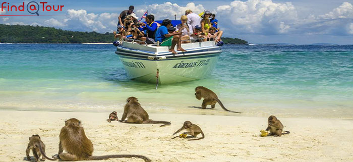 ساحل میمون‌ها 