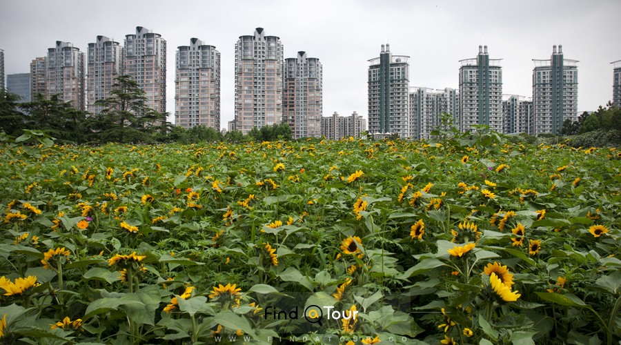 عکس Century Park شانگهای چین