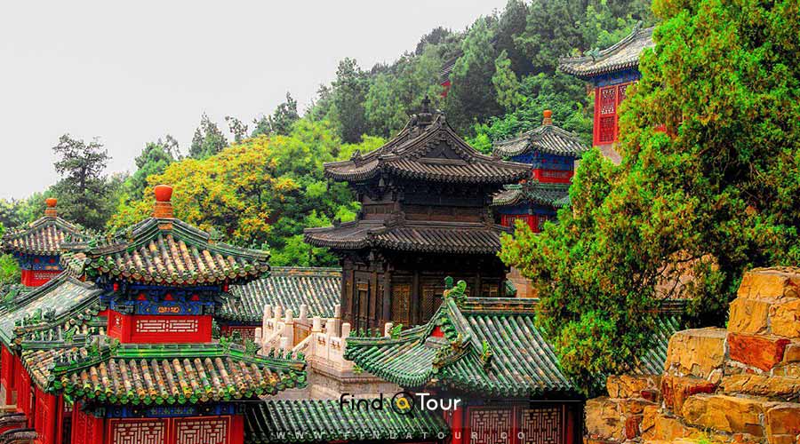 نمایی از درختان کاخ تابستانی چین