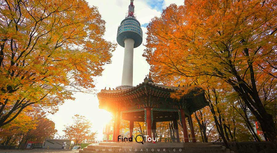 برج نامسان کره جنوبی در پاییز