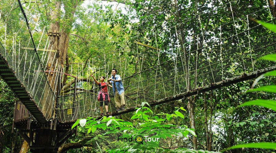 پارک ملی پنانگ مالزی