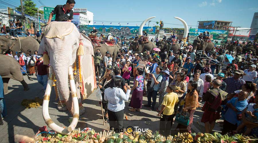 'گردهمایی فیل ها در تایلند