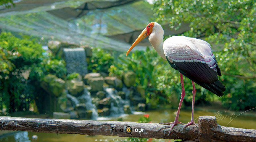 پارک پرندگان کوالالامپور مالزی