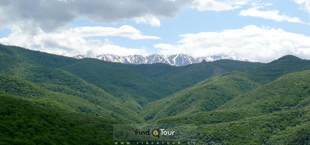 جنگل شیکاهوغ ارمنستان