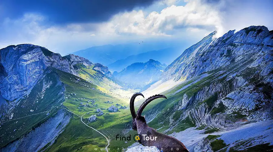 کشور سوئیس