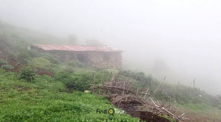 بهترین زمان سفر به جنگل ابر