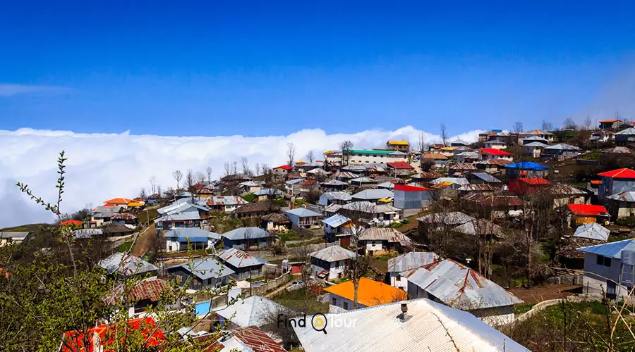 جنگل فیلبند مازندران