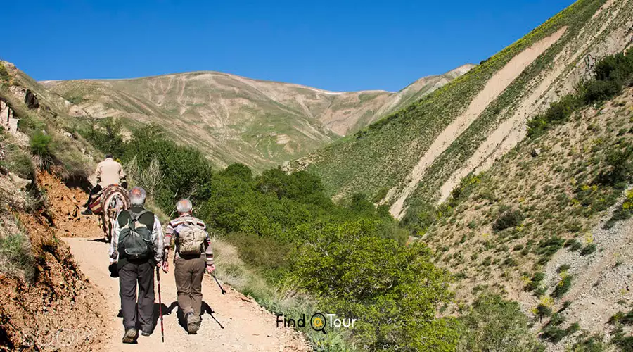 روستای آهار