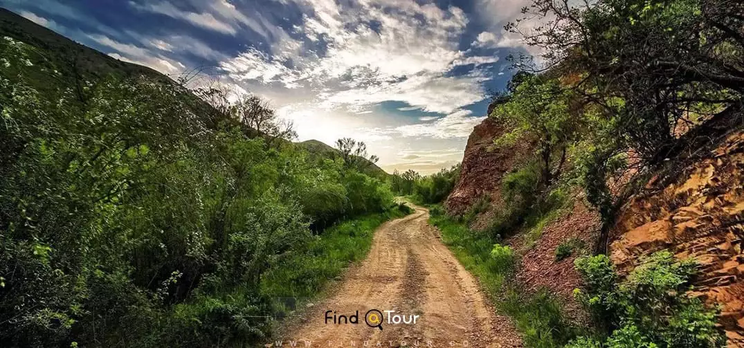 جنگل خسرو ارمنستان