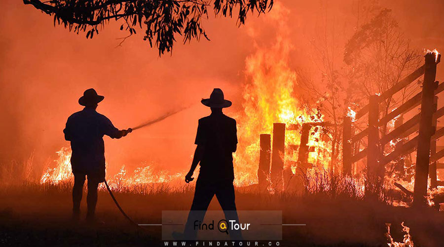 آتش سوزی در سیدنی استرالیا