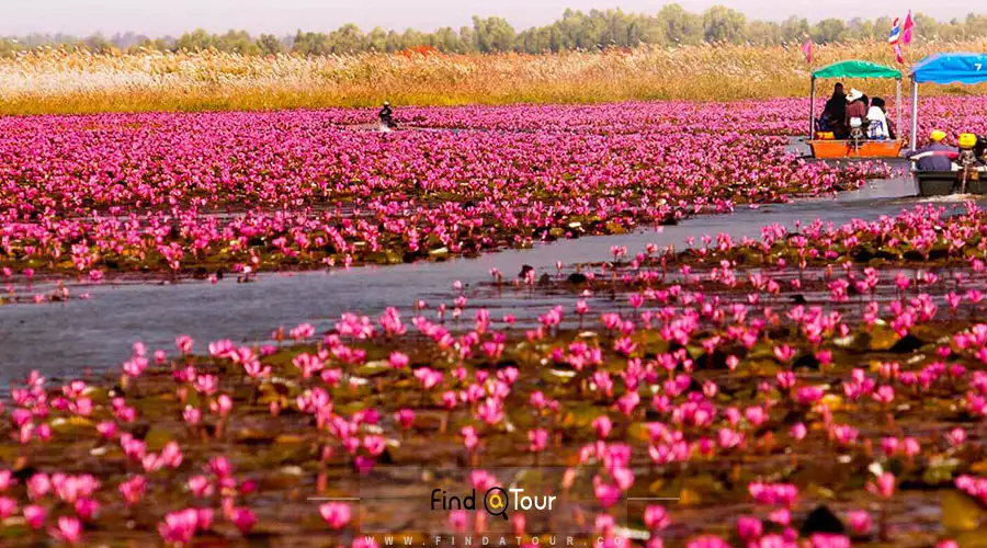 دریاچه نونگ هان تایلند