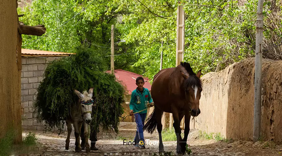 روستای یوش در پاییز