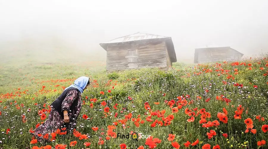 اقامت در سوباتان