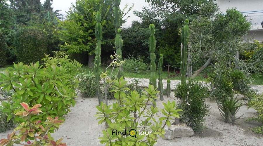 باغ گیاه شناسی بالچیک بلغارستان