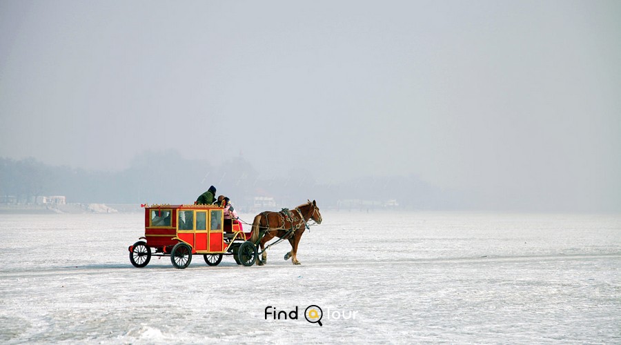 سورتمه سواری و اسب سواری روی یخ در هاربین چین