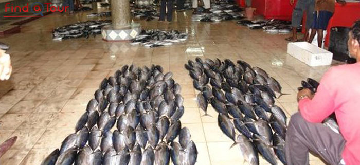 بازار بزرگ ماهی مالدیو- Maale Fish Market