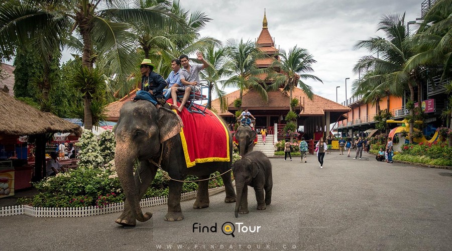 فیل سواری باغ گیاهشناسی نانگ نوچ تایلند