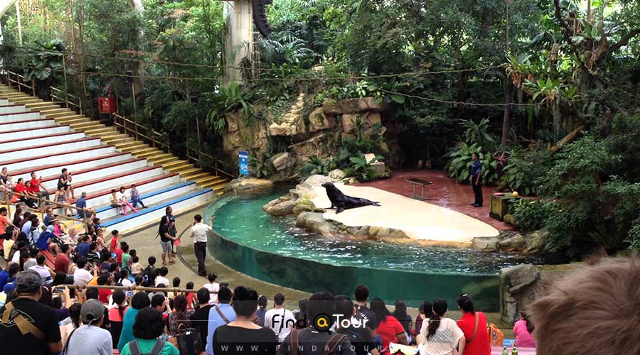 تماشای نمایش در باغ وحش سنگاپور