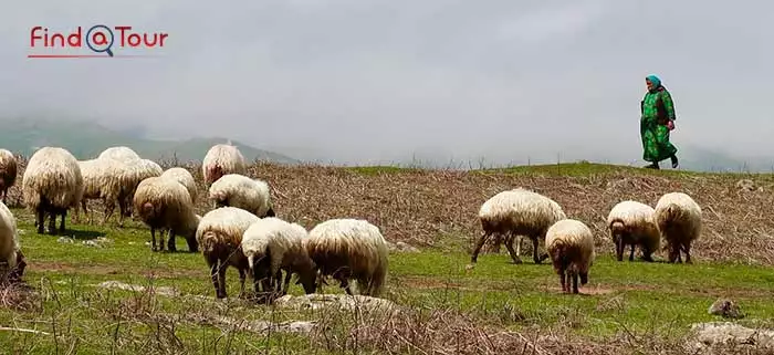 سوباتان