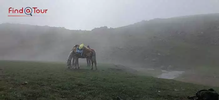 قدم زدن در میان ابرها