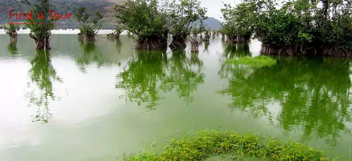 گیلان - تالاب استیل - عباس‌آباد(Estil Lagoon)