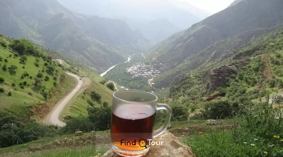 روستای بلبر سرو آباد