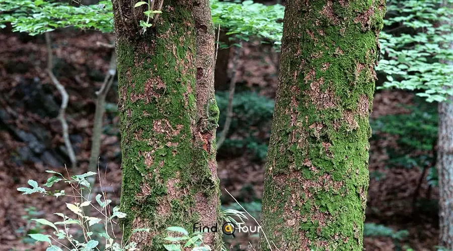 آموزش جهت یابی