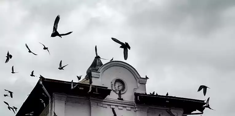 کافه‌گردی در رشت؛ جاهایی که حال‌وهوای شهر را عوض می‌کنند