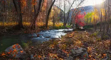 پاییز ایران