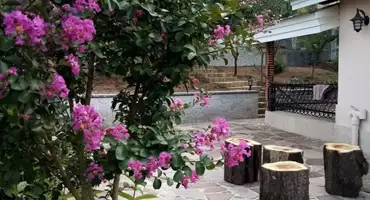 ویلا با ویو جنگل در کلاشت و چالوس