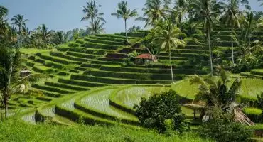 راه های خرید ارزان تور بالی