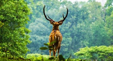 10 جاذبه طبیعت گردی در تور هندوستان