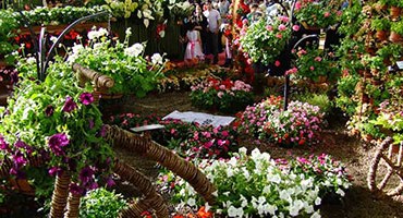 مکان و زمان برگزاری نمایشگاه بین المللی گل و گیاه تهران