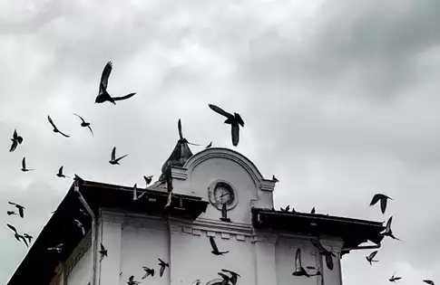 کافه‌گردی در رشت؛ جاهایی که حال‌وهوای شهر را عوض می‌کنند