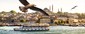 تنگه بسفر استانبول | طبیعت زیبای ترکیه